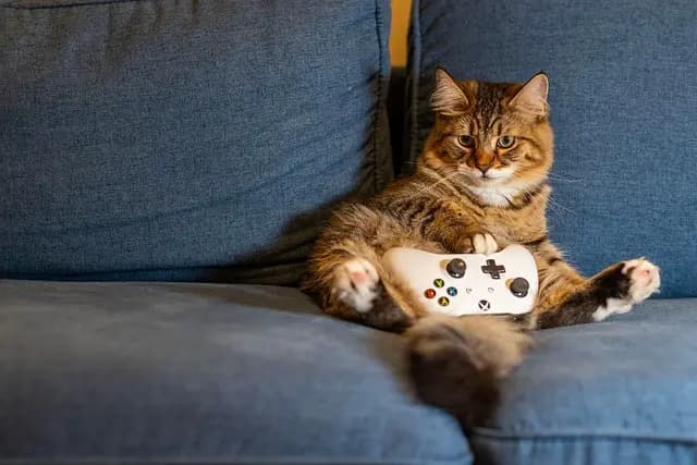 Creative DIY Pet Projects to Engage Your Pets