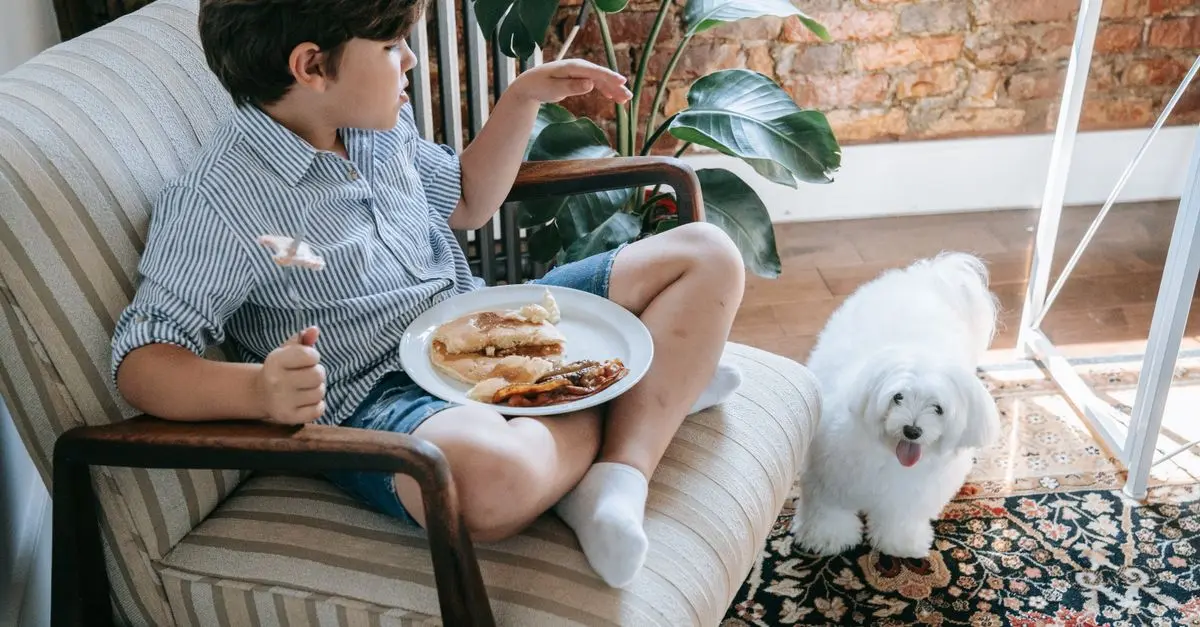 How to Choose the Best Pet Food for Your Furry Friend