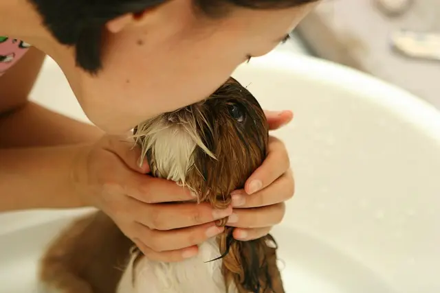10 Essential Health Tips for Keeping Your Pets Happy