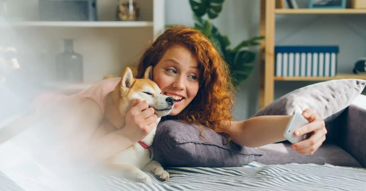 Cat vs Dog: Which Pet is Right for You?