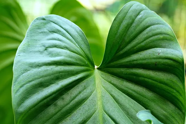Top 10 Eco-Friendly Pet Products for Sustainable Living
