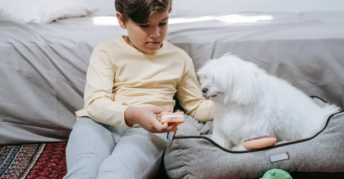 The Ultimate Checklist for New Dog Owners