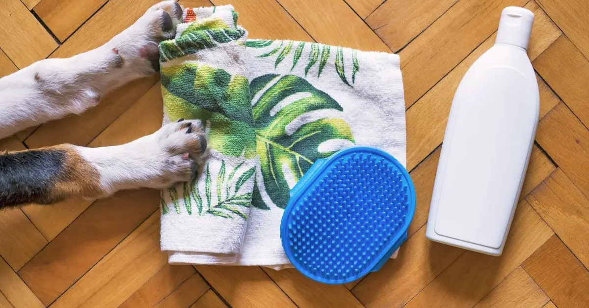 Top 10 Essential Products Every Pet Owner Needs