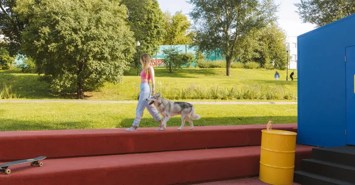 Dog Walking: The Health Benefits for You and Your Pet