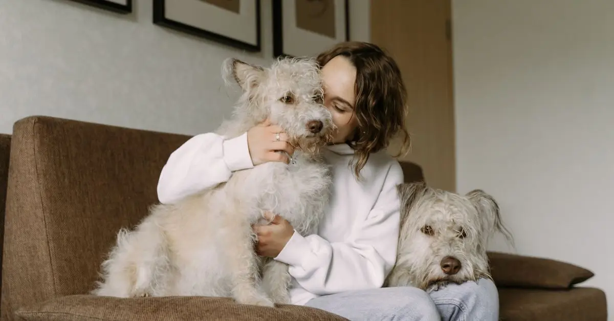 Understanding Emotional Support Animals: What You Need to Know