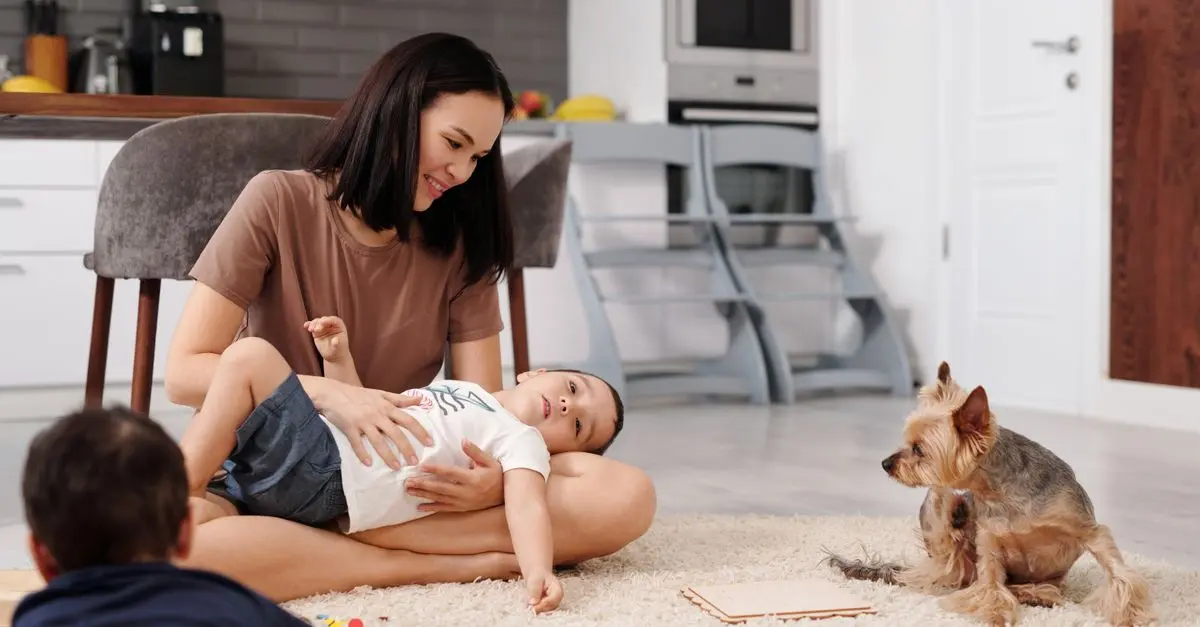 Common Pet Behavioral Issues and Solutions
