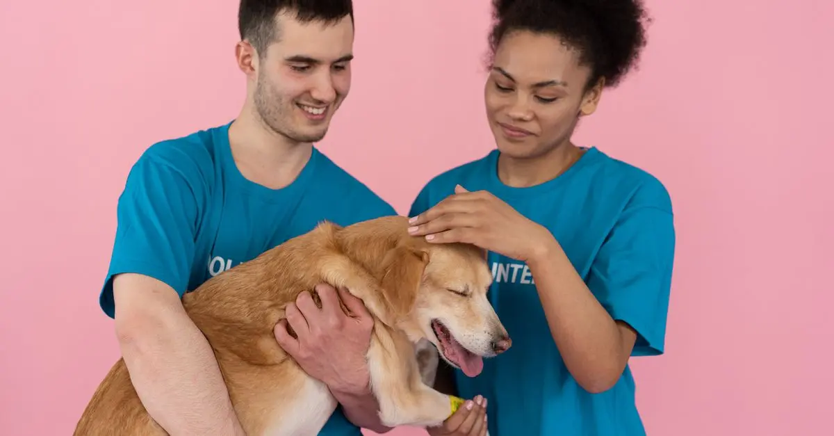 10 Fun Indoor Activities to Keep Your Pets Engaged