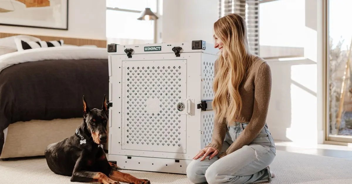 How to Create a Pet-Friendly Home Environment