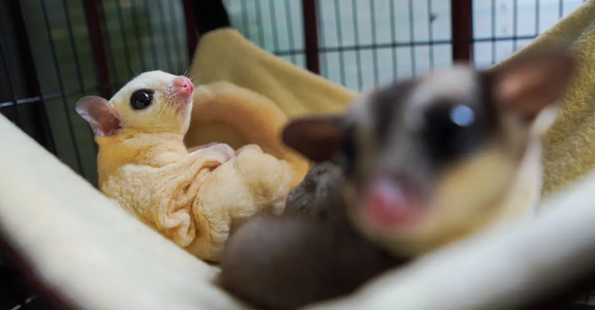 Essential Tips for First-Time Reptile Owners