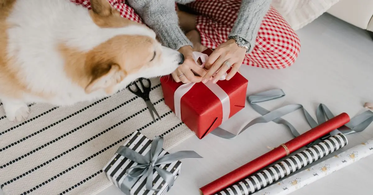 Creative DIY Pet Projects to Enhance Your Home