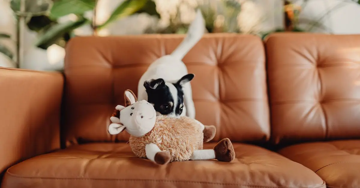 How to Create a Pet-Friendly Home Environment