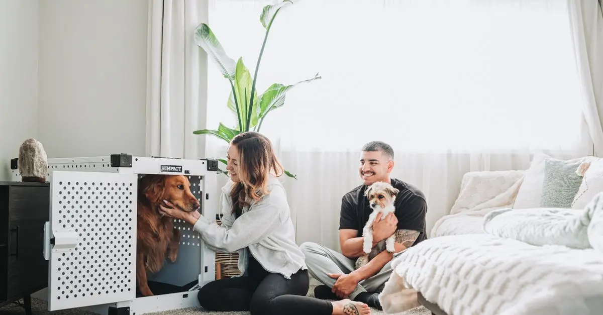 Essential Pet Safety Tips at Home