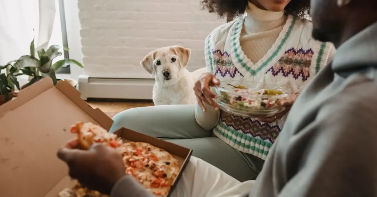 Essential Tips for Optimizing Your Pet's Nutrition