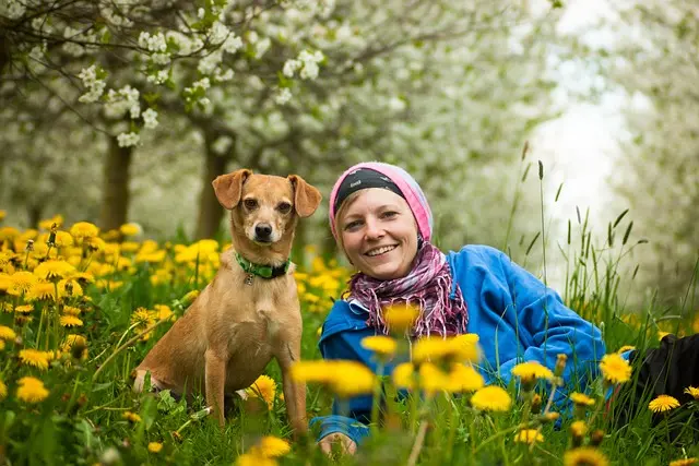 Top 10 Must-Have Items for Pet Lovers