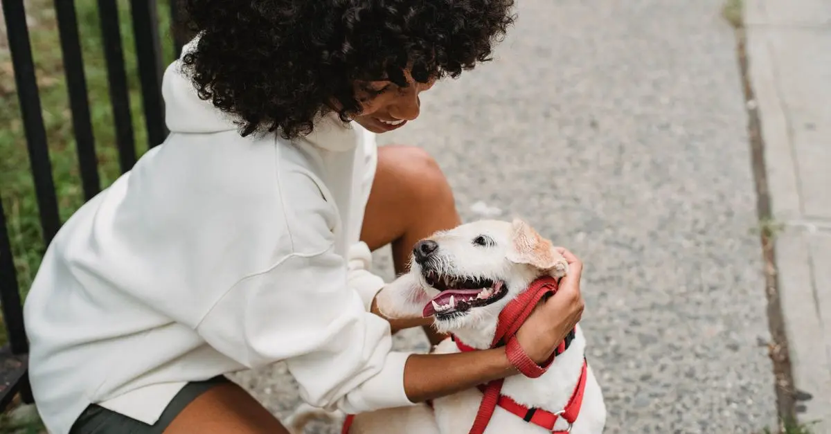 10 Fun Outdoor Activities to Enjoy with Your Pets