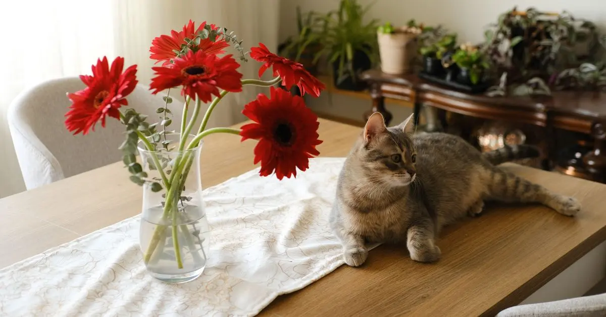 How to Create the Perfect Indoor Oasis for Your Pets