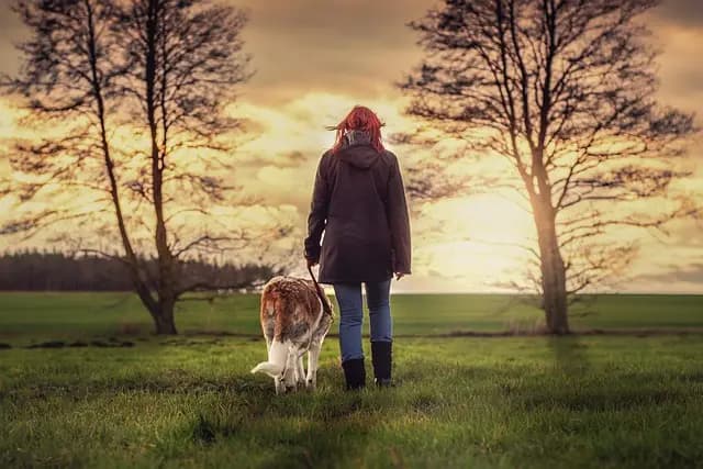 How to Choose the Best Pet for Your Family