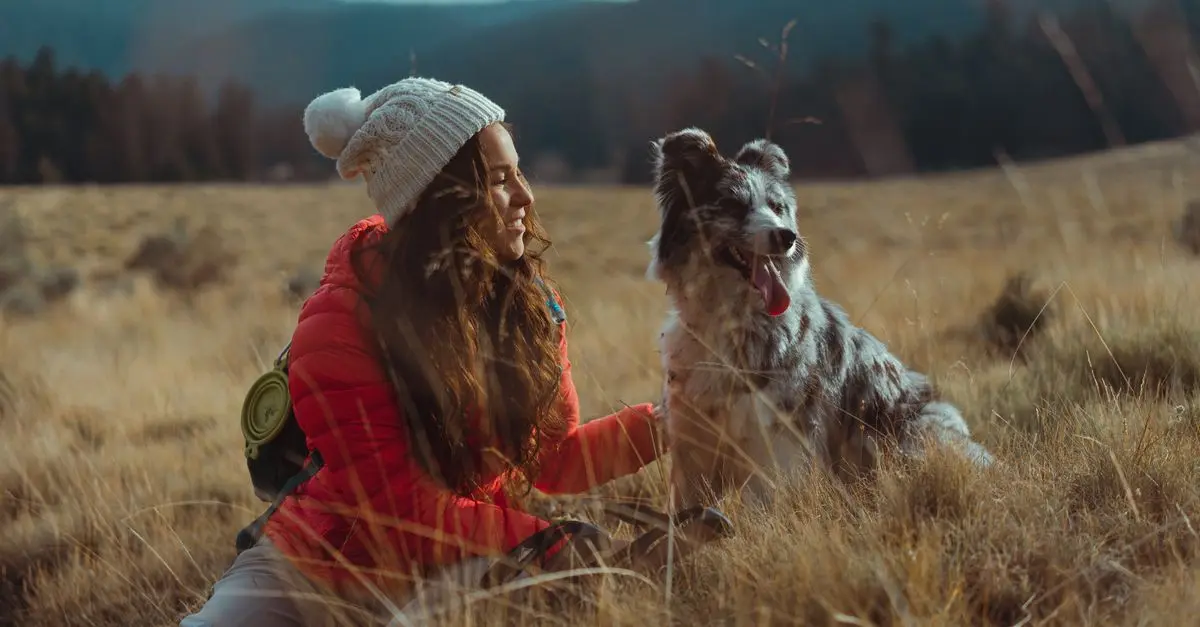 Top Pet-Friendly Vacation Destinations