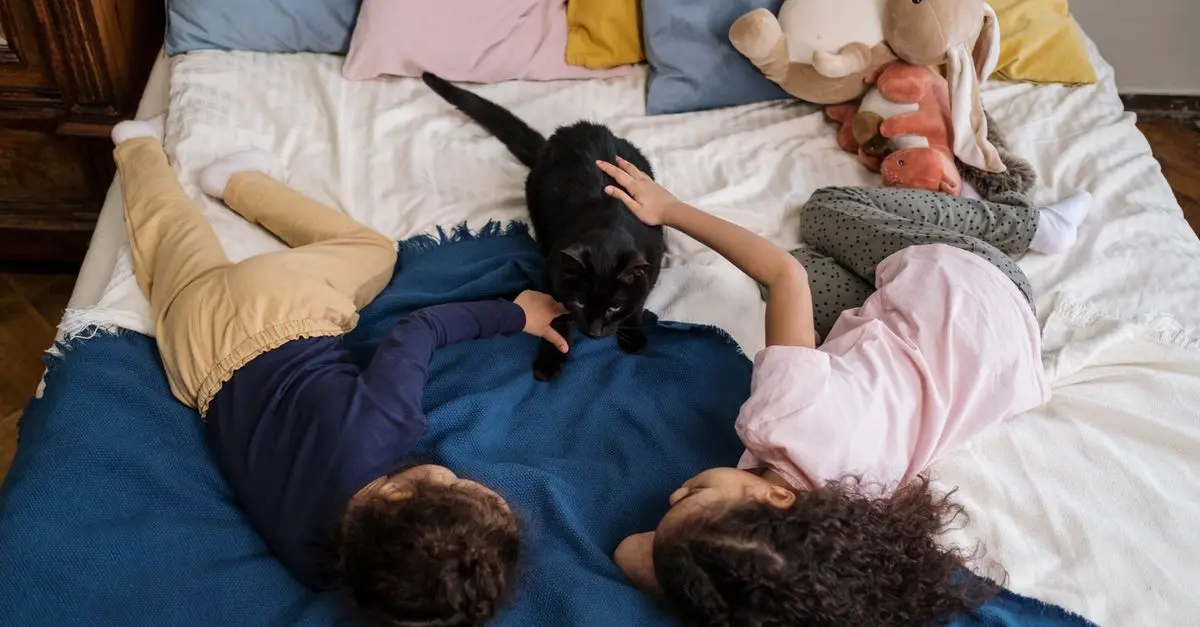 How to Create a Cozy Space for Your Pets at Home