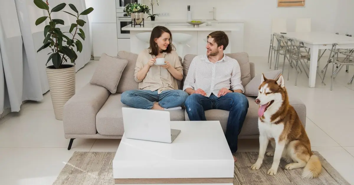 How to Choose the Right Pet for Your Home and Lifestyle