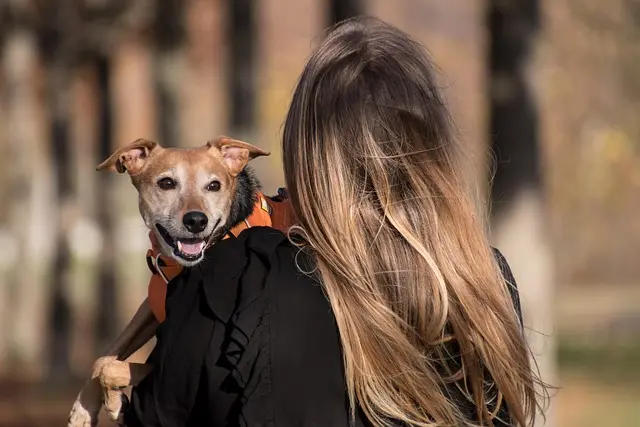 Essential Tips for Creating a Thriving Pet Community
