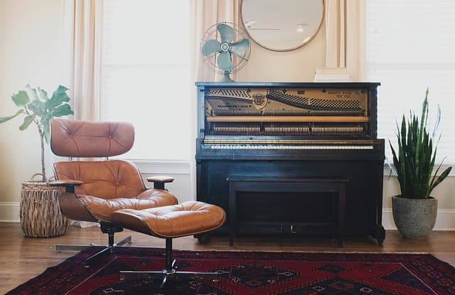 The Best Ways to Keep Your Pets Entertained at Home