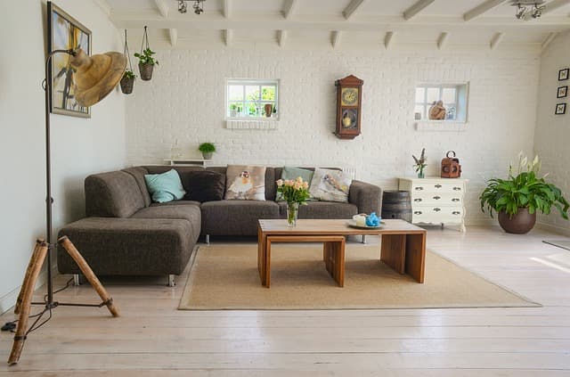 How to Create the Perfect Pet-Friendly Home
