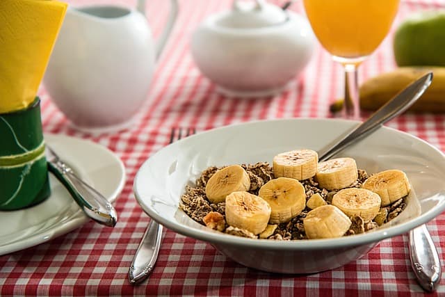 Understanding Pet Nutrition: Choosing the Right Food